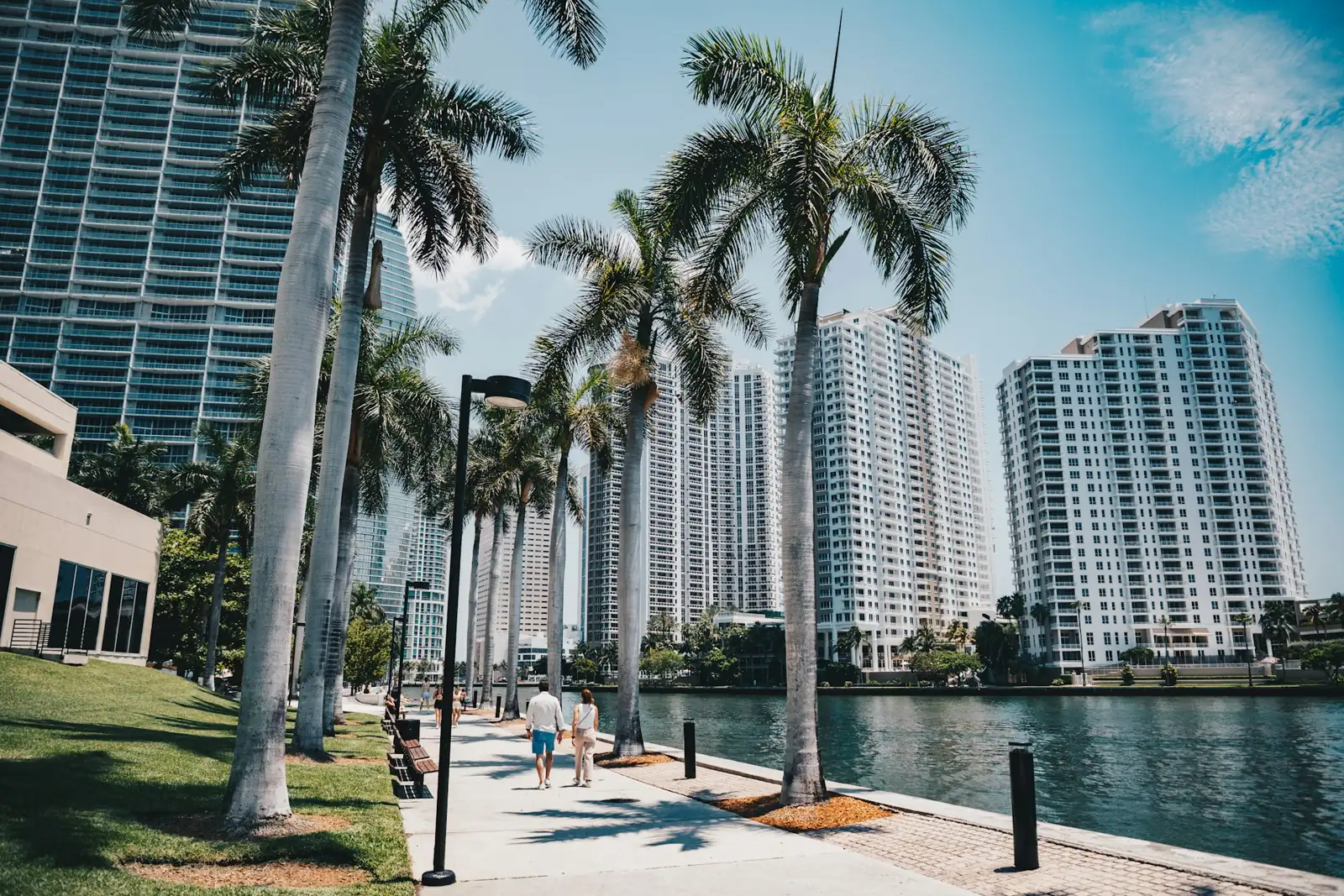 Palm-lined riverwalk beside residential towers